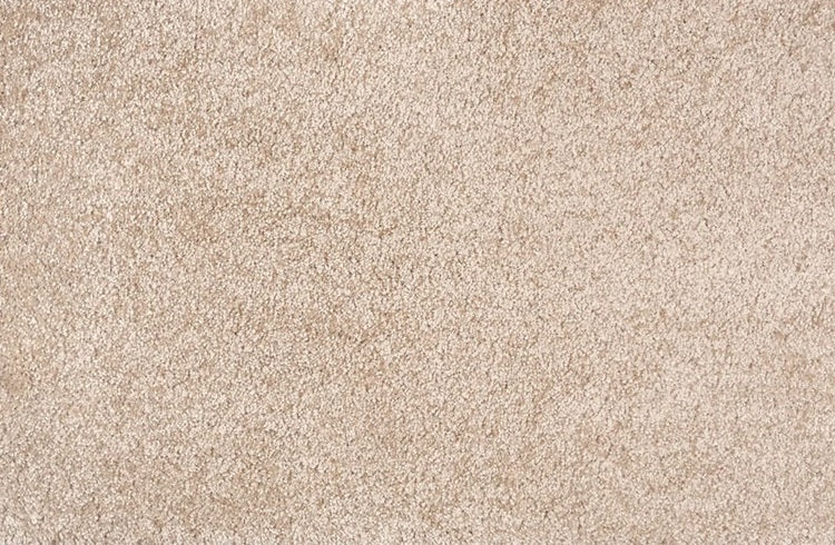 Noble Solution Dyed Polyes Latte 25244 Carpet NOBL Loop 1