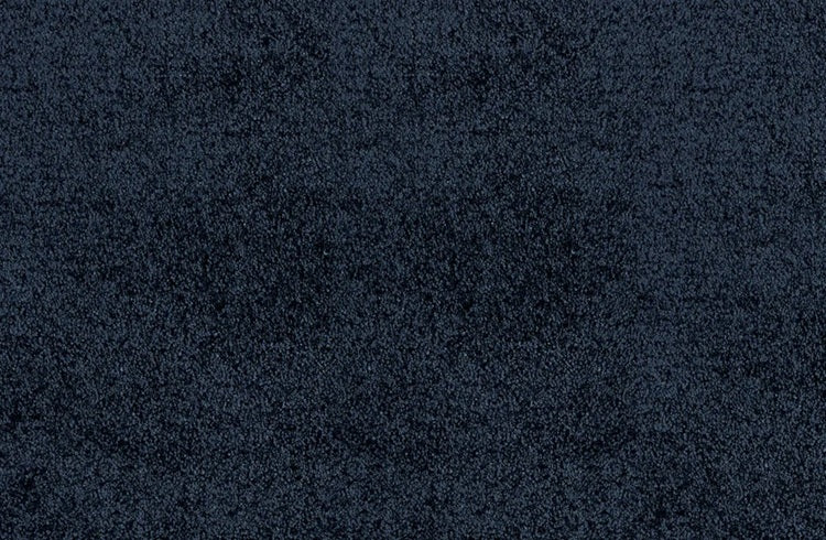 Noble Solution Dyed Polyes Northern Sea 25248 Carpet NOBL Loop 1