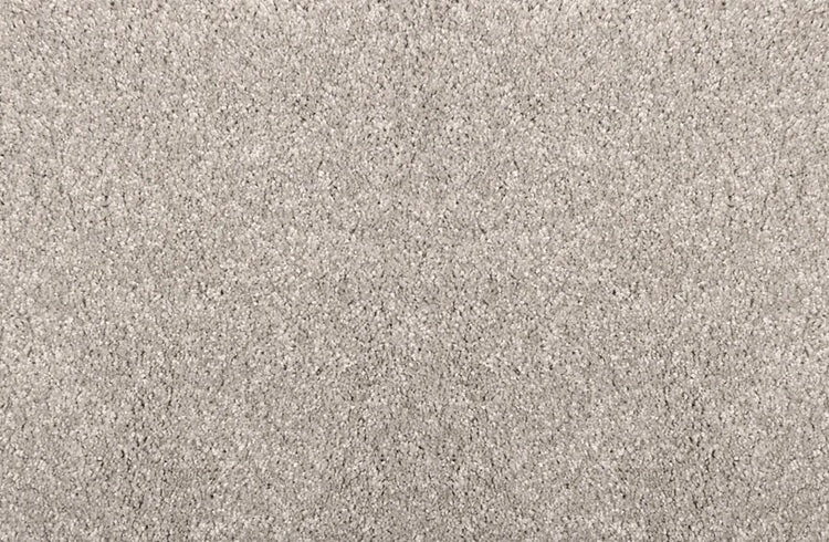 Noble Solution Dyed Polyes Soft Silver 25243 Carpet NOBL Loop 1