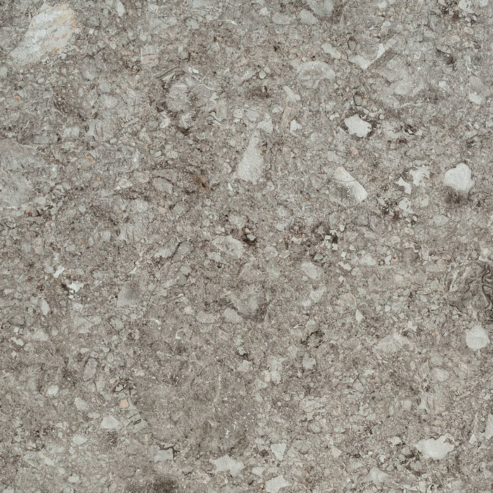 Full Tile Sample - Norr Gra Porcelain Tile - 24" x 24" x 10.16 MM Matte