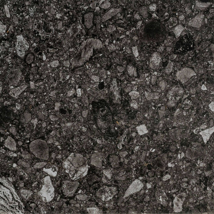 Full Tile Sample - Norr Svart Porcelain Tile - 24" x 24" x 10.16 MM Matte