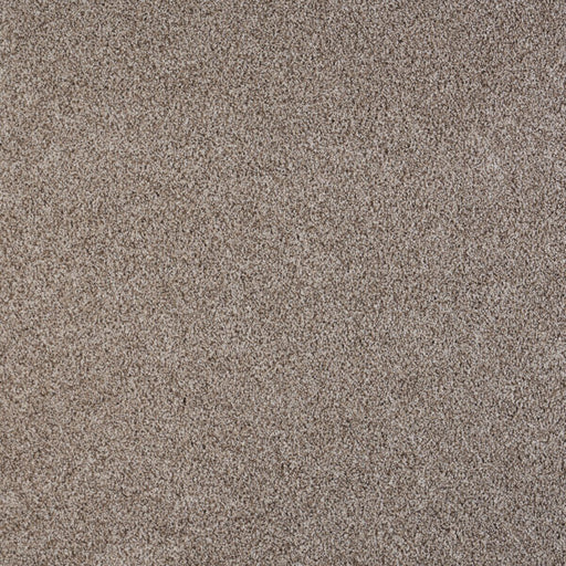 North Star Polypropylene Aglow Carpet Textured 1