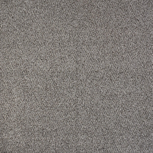 North Star Polypropylene Alluring Carpet Textured 1