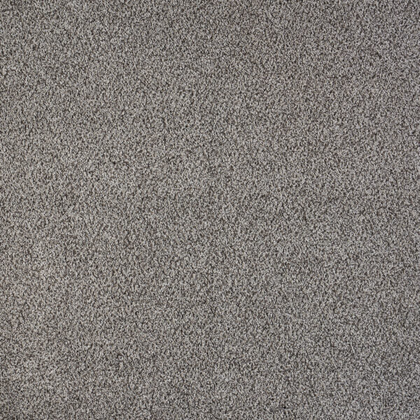 North Star Polypropylene Alluring Carpet Textured 1