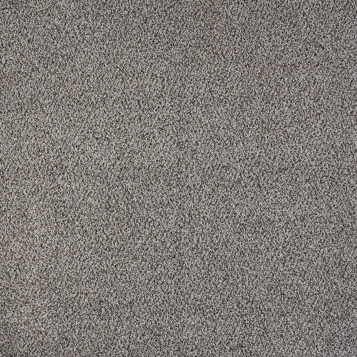 Polaris Polypropylene Alluring Carpet Textured 2