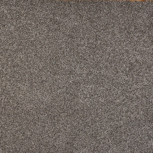 North Star Polypropylene Charming Carpet Textured 1