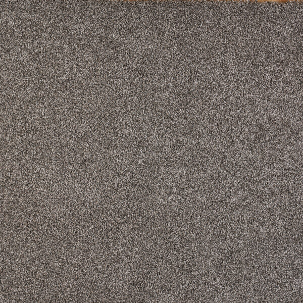 North Star Polypropylene Charming Carpet Textured 1