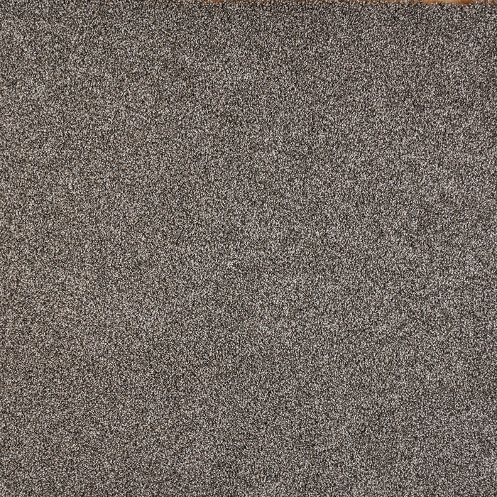 North Star Polypropylene Charming Carpet Textured 2