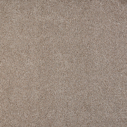 Polaris Polypropylene Digital Carpet Textured 1