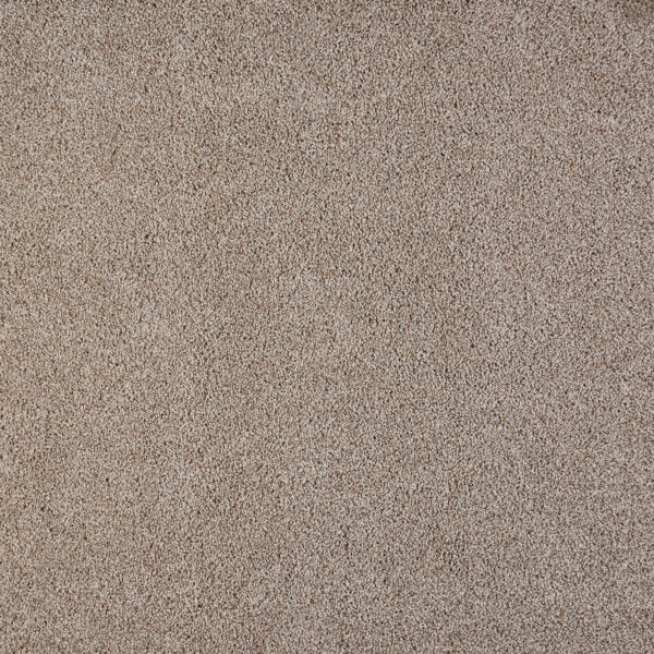 Polaris Polypropylene Digital Carpet Textured 1