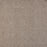 Polaris Polypropylene Digital Carpet Textured 2