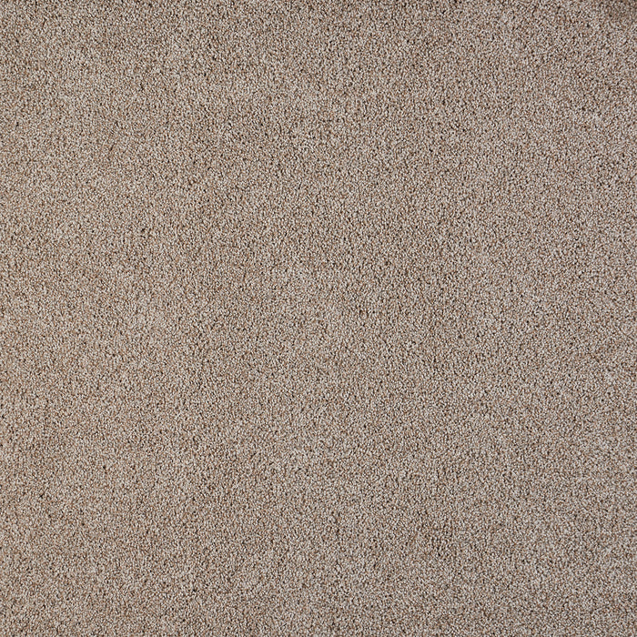 Polaris Polypropylene Digital Carpet Textured 2