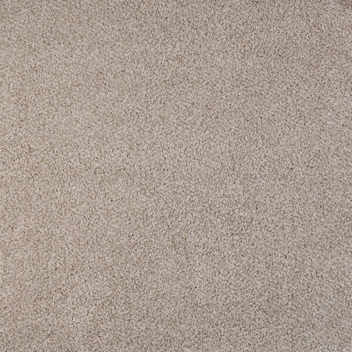 North Star Polypropylene Heavenly Carpet Textured 1