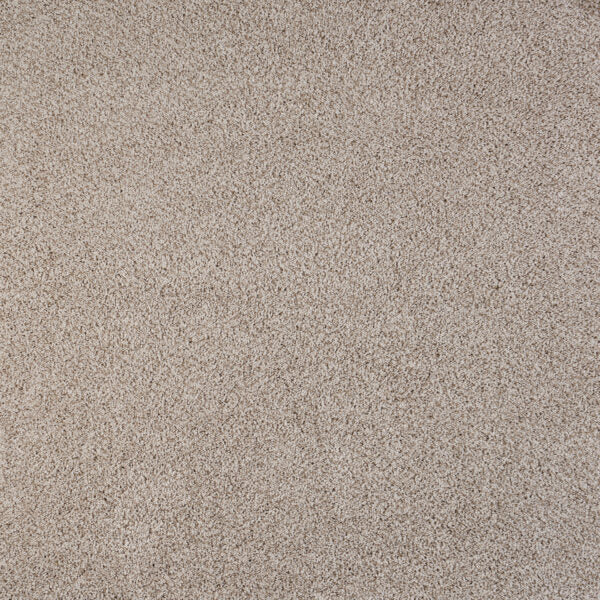 North Star Polypropylene Heavenly Carpet Textured 1
