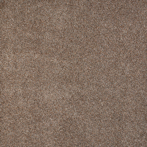 Polaris Polypropylene Prisms Carpet Textured 1