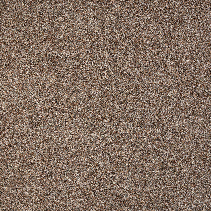 Polaris Polypropylene Prisms Carpet Textured 2