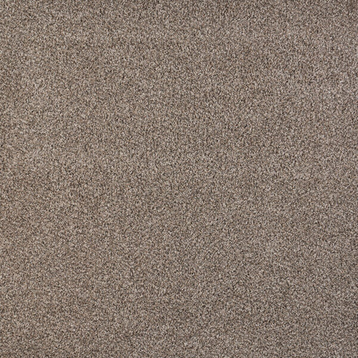 North Star Polypropylene Rhythm Carpet Textured 1