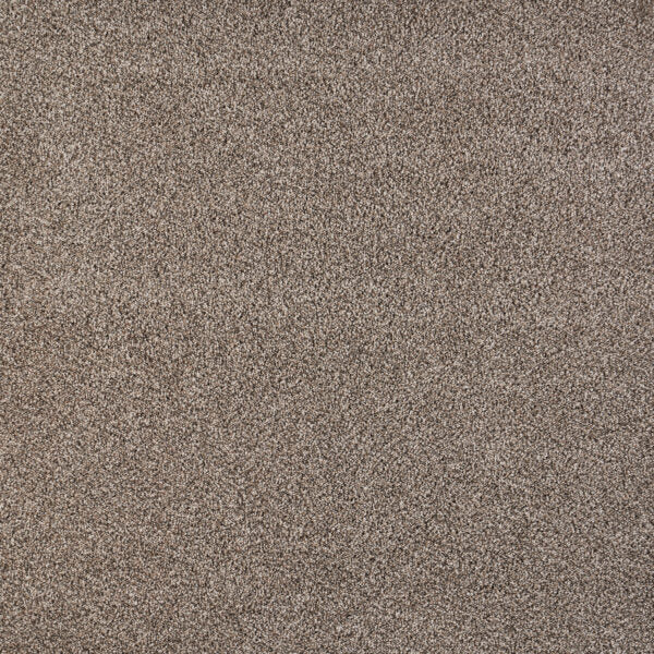 North Star Polypropylene Rhythm Carpet Textured 1