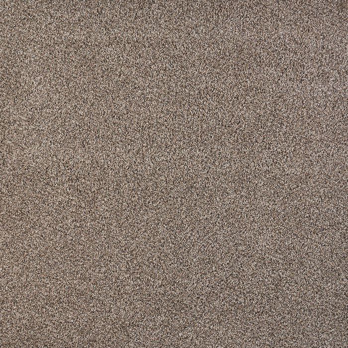Polaris Polypropylene Rhythm Carpet Textured 2