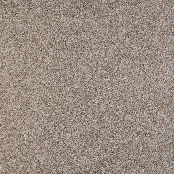 North Star Polypropylene Wavelength Carpet Textured 1