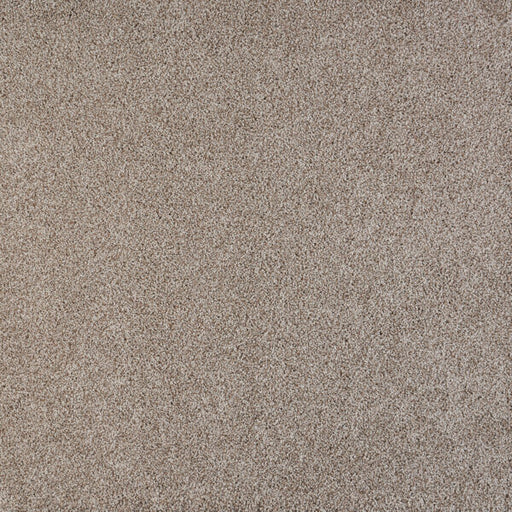 Polaris Polypropylene Wavelength Carpet Textured 1