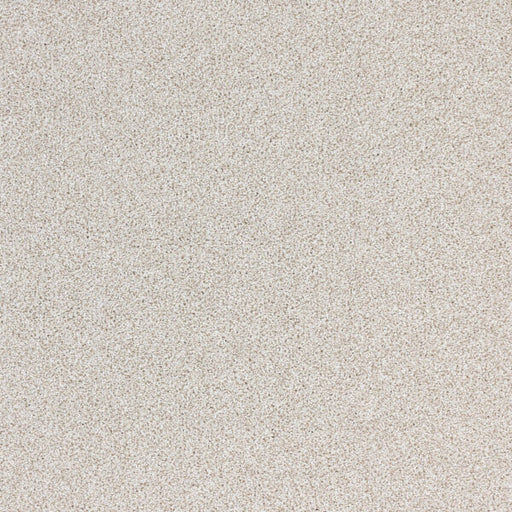 Nuance Polypropylene Vapor Carpet Textured 1