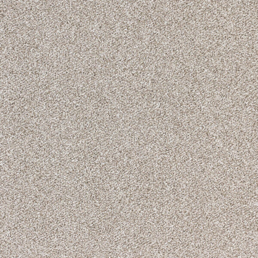 Nuance Polypropylene Refined Taupe Carpet Textured 1