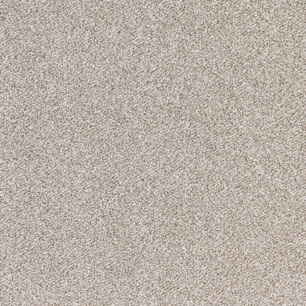 Nuance Polypropylene Refined Taupe Carpet Textured 1