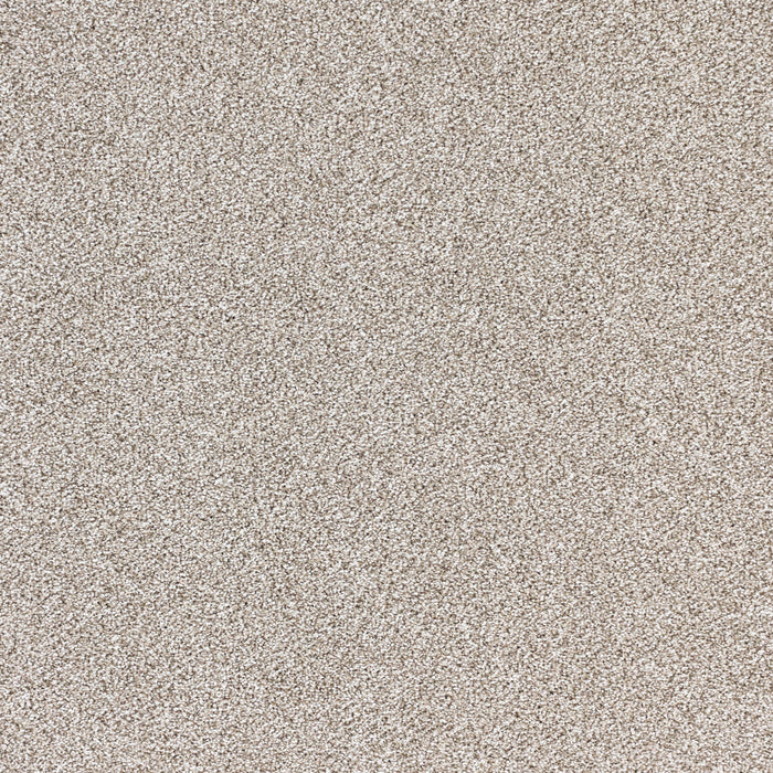 Nuance Polypropylene Refined Taupe Carpet Textured 2