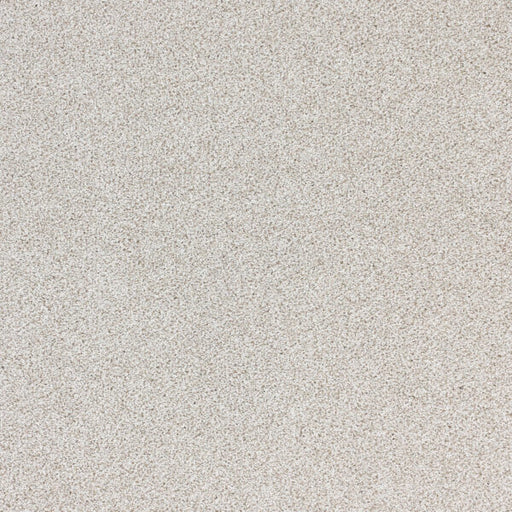 Nuance Polypropylene Misty Carpet Textured 1