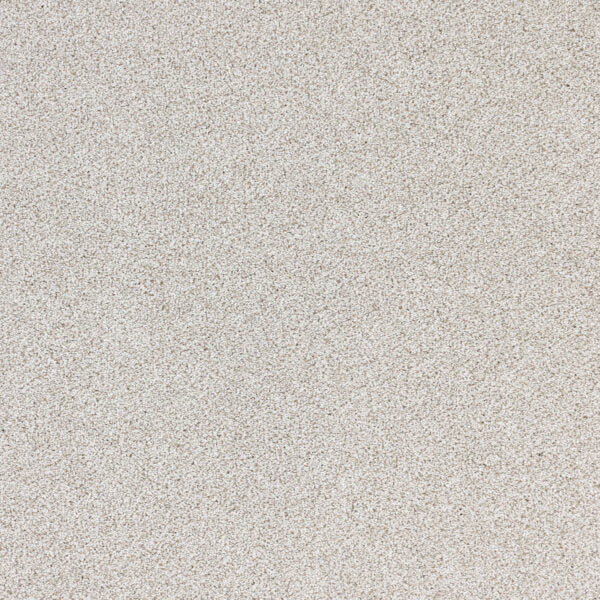 Nuance Polypropylene Misty Carpet Textured 1