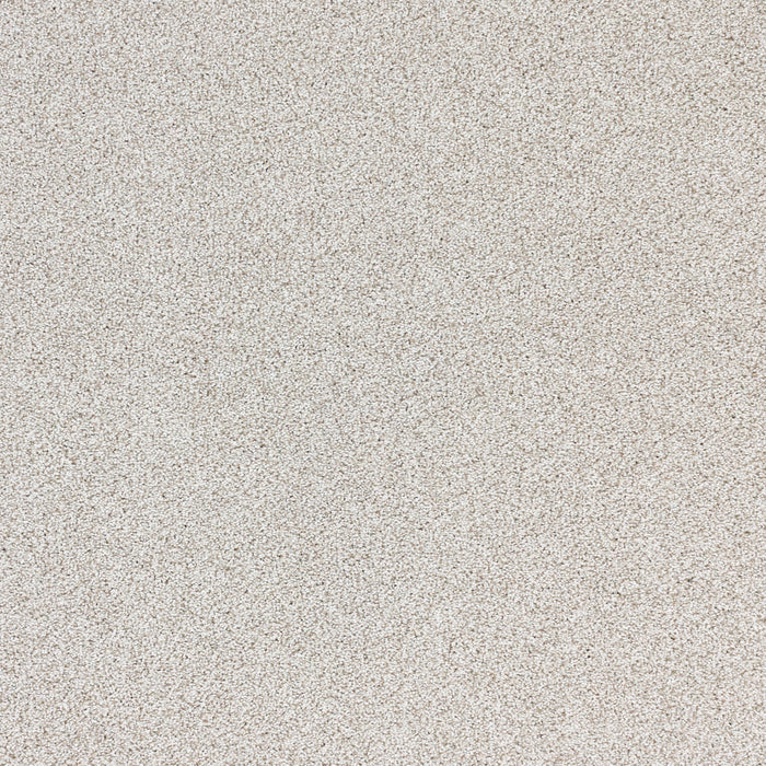 Nuance Polypropylene Misty Carpet Textured 2