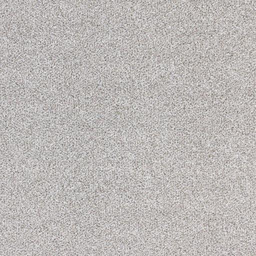 Nuance Polypropylene Fog Carpet Textured 1