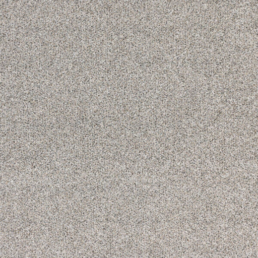 Nuance Polypropylene Granite Carpet Textured 1