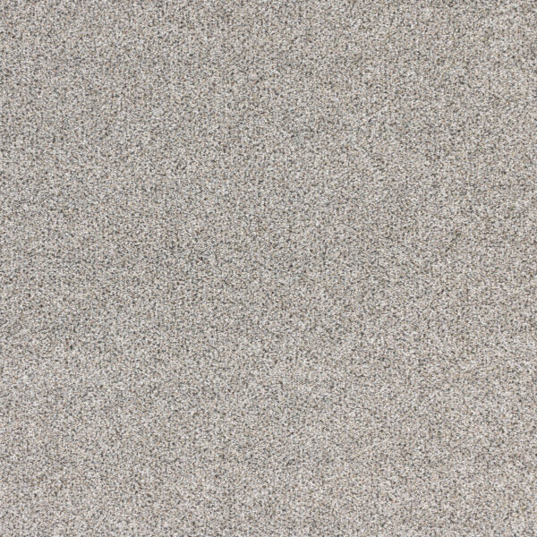 Nuance Polypropylene Granite Carpet Textured 1