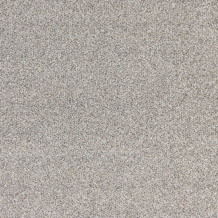 Nuance Polypropylene Granite Carpet Textured 2