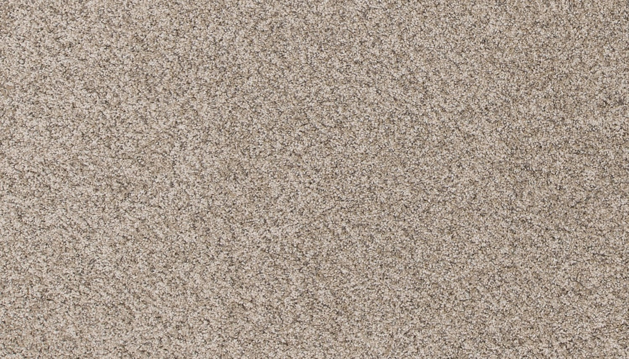 Canine Comfort Polyester Bisque 809 Carpet Textured 1