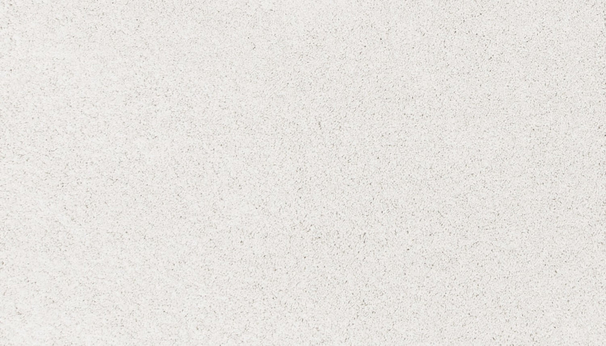 Canine Comfort Polyester Haze 901 Carpet Textured 1