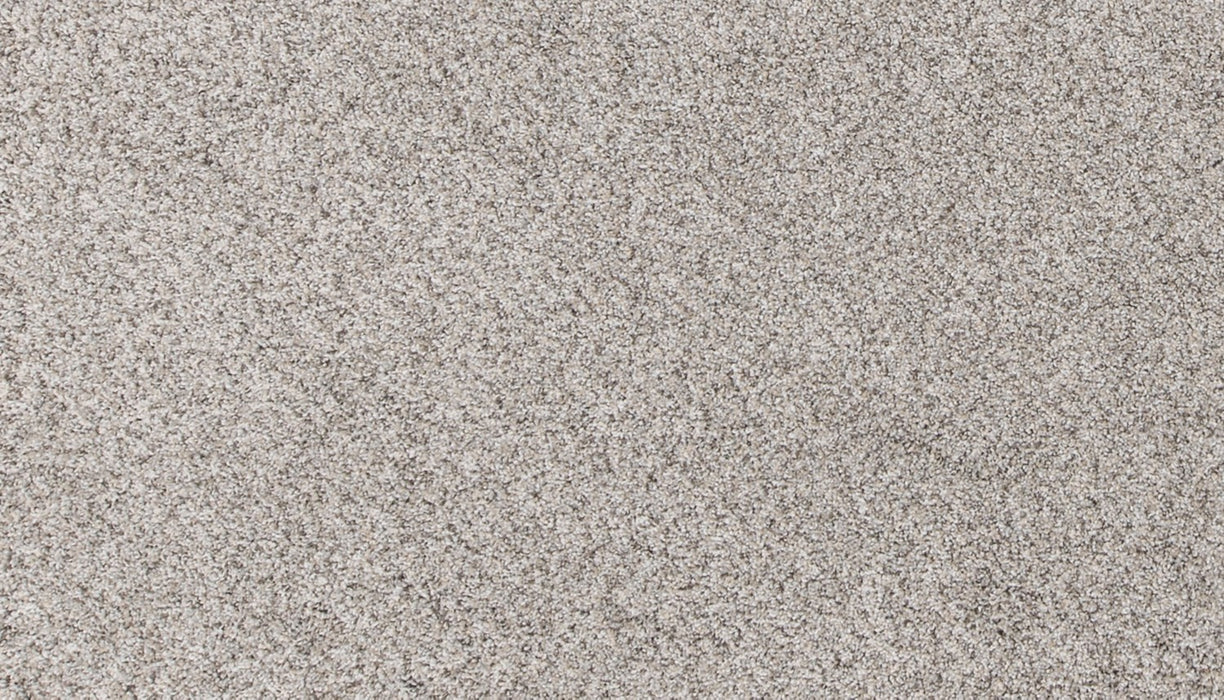 Canine Comfort Polyester Oyster 948 Carpet Textured 1