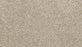 Canine Chic Polyester Fawn 739 Carpet Textured 1