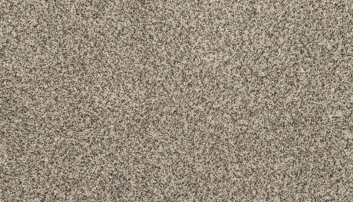 Canine Chic Polyester Highway 957 Carpet Textured 1