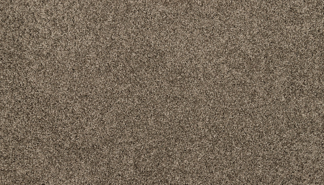 Canine Chic Polyester Matte 975 Carpet Textured 1