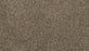 Canine Chic Polyester Matte 975 Carpet Textured 1