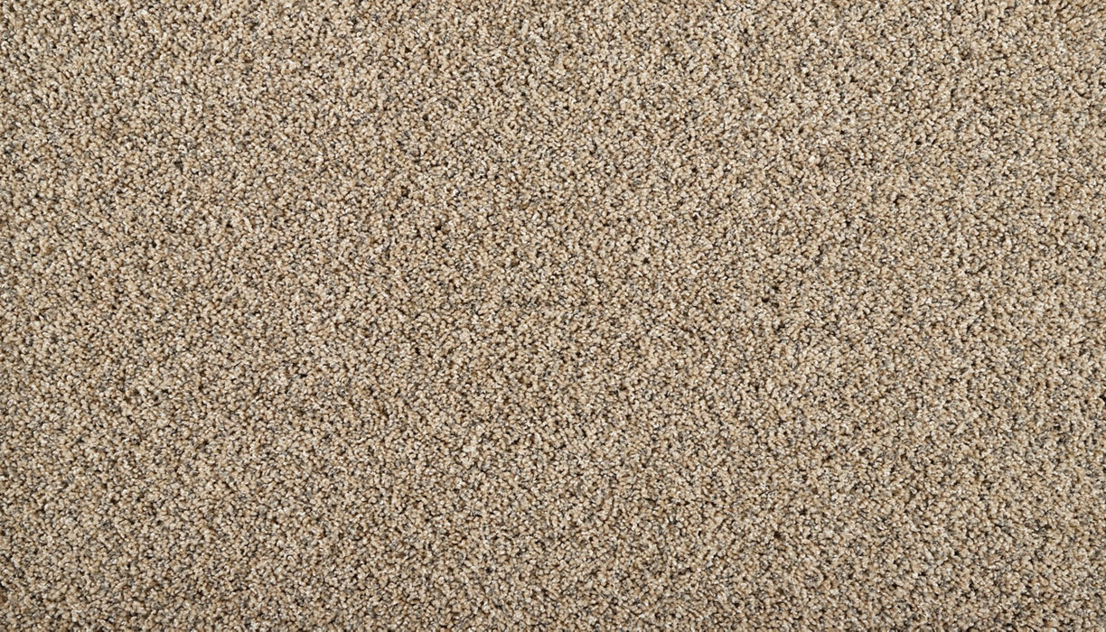 Restorative I Triexta Boulder Beige 767 Carpet Textured 1