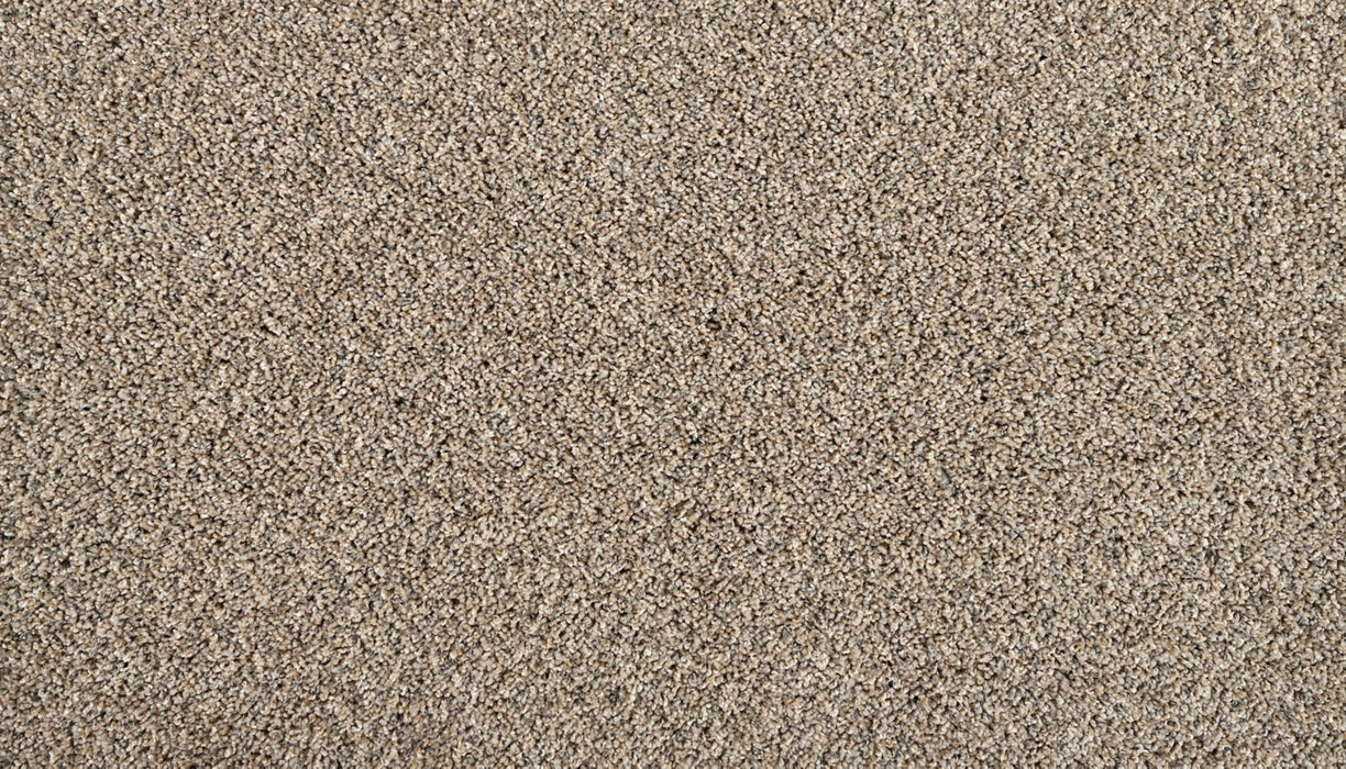 Restorative I Triexta Country Squire 869 Carpet Textured 1