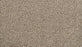 Restorative I Triexta Country Squire 869 Carpet Textured 1