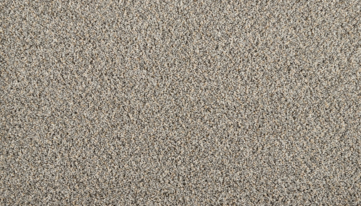 Restorative I Triexta Stormwatch 968 Carpet Textured 1