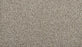 Restorative I Triexta Stormwatch 968 Carpet Textured 1