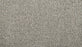Restorative I Triexta North Wind 969 Carpet Textured 1