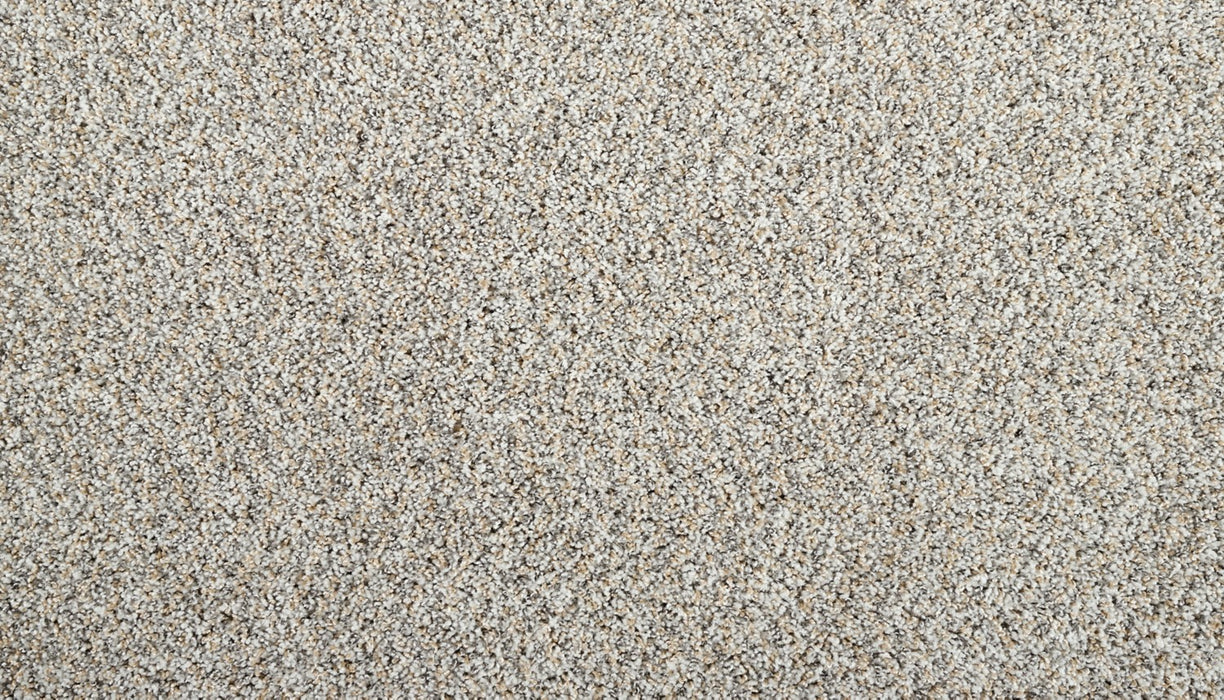 Restorative II Triexta Winter Haven 905 Carpet Textured 1